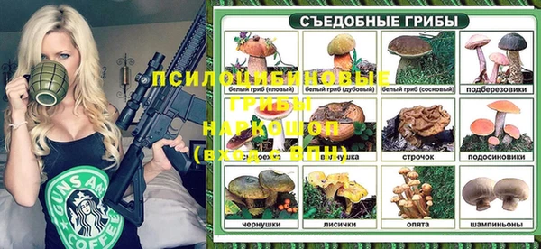 apvp Алексеевка