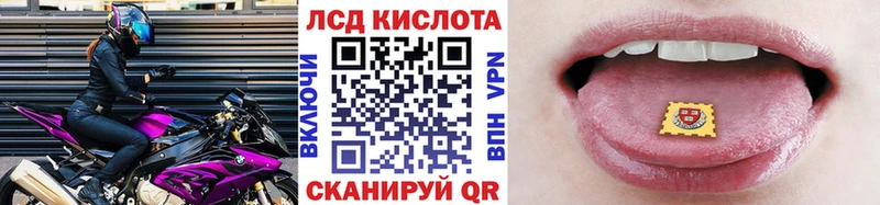 сколько стоит  Жиздра  Марки N-bome 1500мкг 